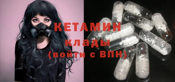 дживик Ельня