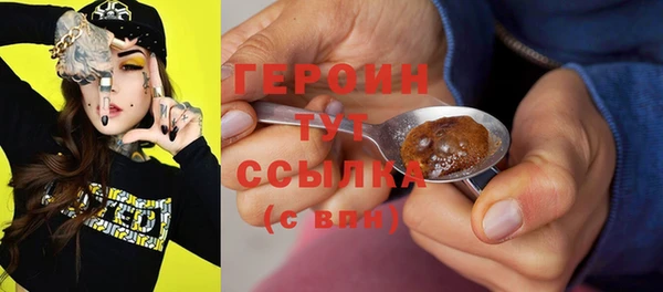 дживик Ельня