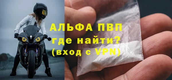 дживик Ельня