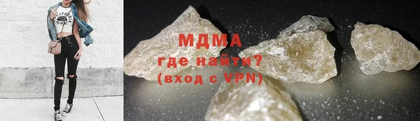 дживик Ельня