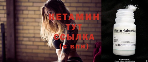 дживик Ельня