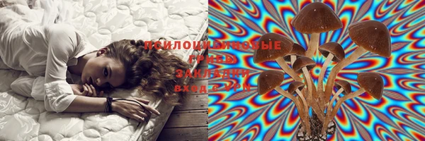 дживик Ельня