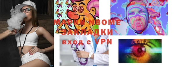 дживик Ельня