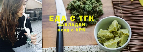 дживик Ельня