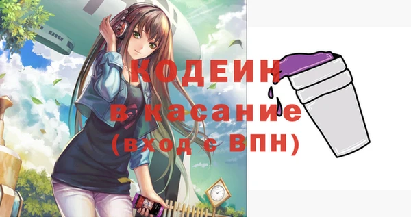 дживик Ельня